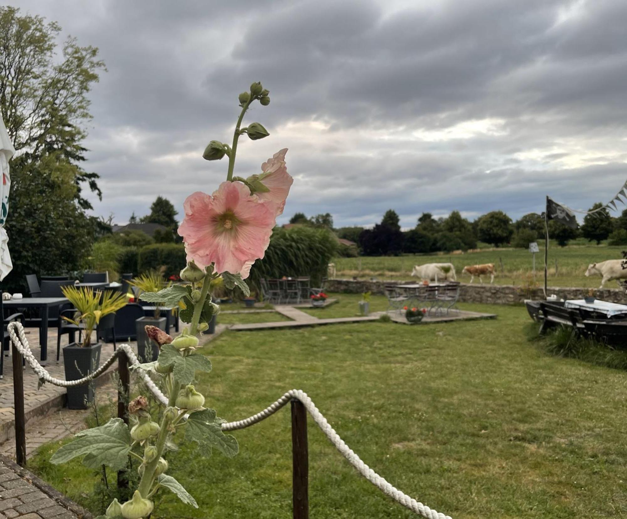 Pension Mueritzblick Gotthun Esterno foto